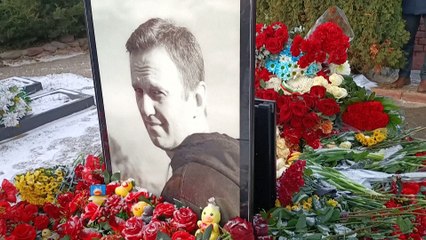 Todestag von Nawalny: Hunderte am Grab in Moskau