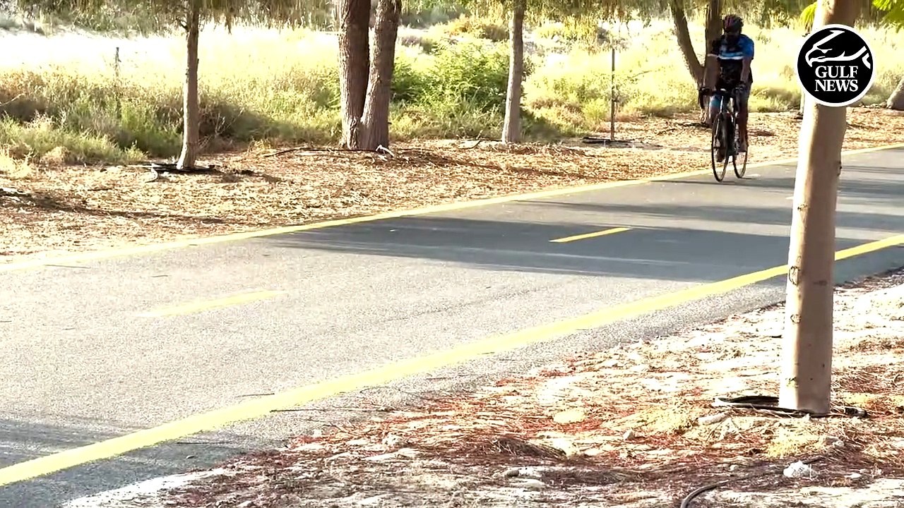 Al Qudra cycling track: Haven for adventure seekers and fitness enthusiasts