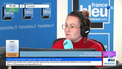 La loi d'orientation agricole assoupli les normes environnementales : "on est les seuls à en faire autant"