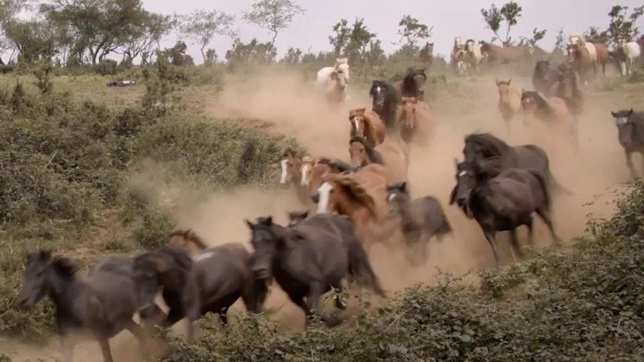 Only on Earth Teaser OV