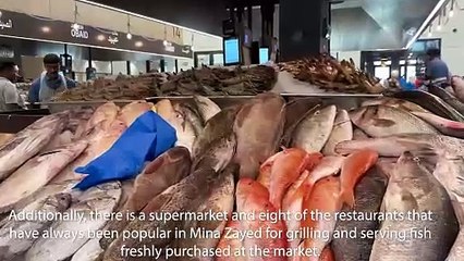 A quick tour through the Mina Fish Market in Abu Dhabi