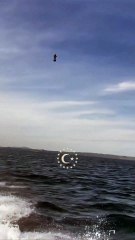 Örümcek adam filmi gerçek oldu