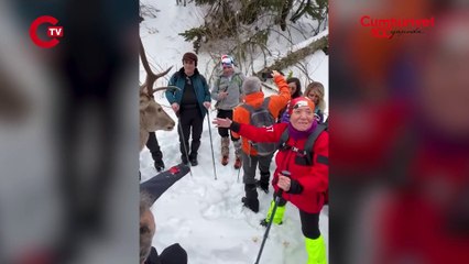 Elleriyle beslediler! Kartepe'de görülen kızıl geyik 'Maral' kayakçılara kendini sevdirdi