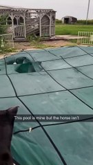 Genuinely who do you even call?