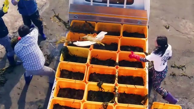 Villager Boy Falls In love With City Girl. Kdrama Recap, Korean Drama Recap, Korean Dramas, Kdramas