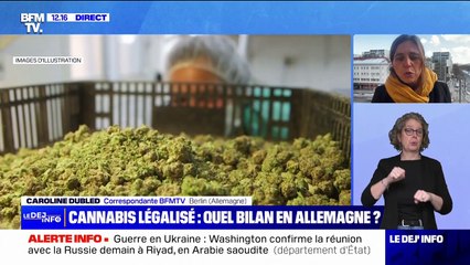 Légalisation du cannabis: quels résultats en Allemagne?