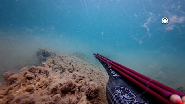 Çanakkale'de dalgıçlar müsilajın deniz dibindeki durumunu görüntüledi