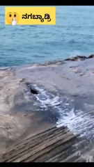 "Rock's Epic Water Surprise! "