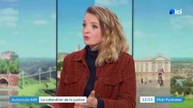 Six opposants à l’A69 campaient ce matin dans des arbres face au tribunal administratif de Toulouse où doit se dérouler demain une audience décisive pour la poursuite ou l’arrêt du chantier de cette autoroute