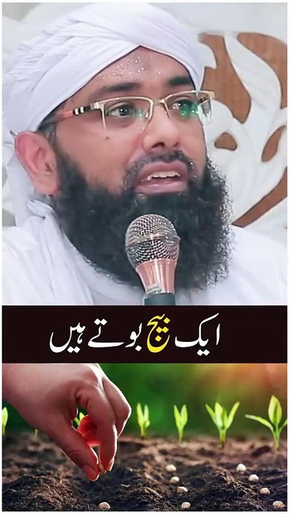 M.Ali official