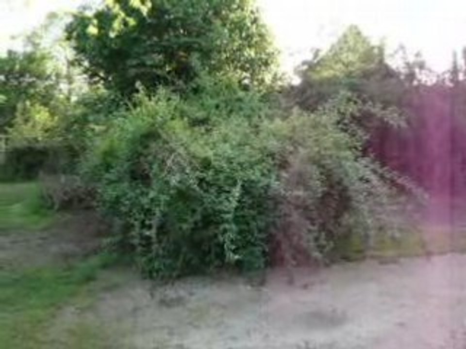 MOV00643