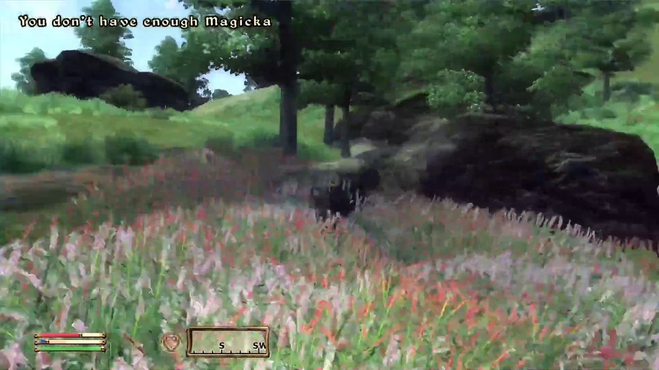 Let's Play The Elder Scrolls IV Oblivion pt 23 ft thestonedphilosopherleo