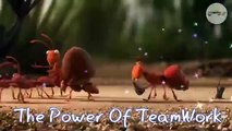 Mastering Teamwork & Leadership | Inspiring Animated Short | Creative 360