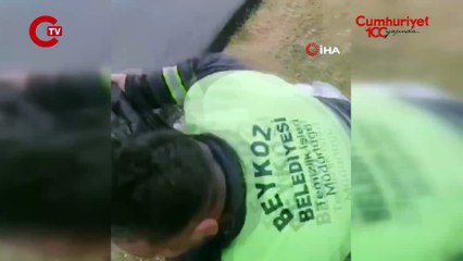 İstanbul Beykoz’da sinirli bir koç, temizlik işçilerini kovaladı