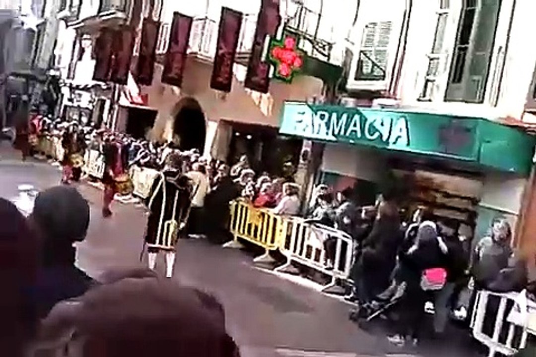 Allatok megáldása, Palma de Mallorca, 2017 jan  17 vpe2ZCmenqA 540p [2Mqa4neqMmI]