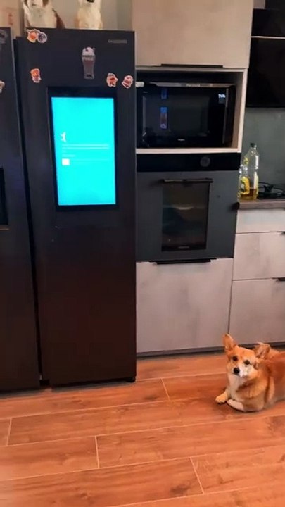 Mon frigo a l’écran bleu du bug Windows
