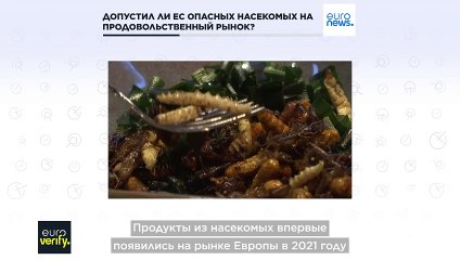 Правда или миф: Европейцы вынуждены есть опасных насекомых? 🦗