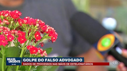 Falso advogado: criminosos usam dados de processos para enganar vítimas
