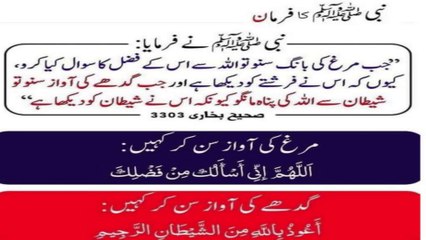 إِذَا سَمِعْتُمْ صِيَاحَ الدِّيَكَةِ فَاسْأَلُوا اللَّهَ مِنْ فَضْلِهِ، فَإِنَّهَا رَأَتْ مَلَكًا، وَإِذَا سَمِعْتُمْ نَهِيقَ الْحِمَارِ فَتَعَوَّذُوا بِاللَّهِ مِنَ الشَّيْطَانِ