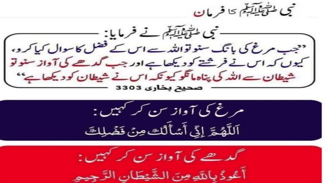 إِذَا سَمِعْتُمْ صِيَاحَ الدِّيَكَةِ فَاسْأَلُوا اللَّهَ مِنْ فَضْلِهِ، فَإِنَّهَا رَأَتْ مَلَكًا، وَإِذَا سَمِعْتُمْ نَهِيقَ الْحِمَارِ فَتَعَوَّذُوا بِاللَّهِ مِنَ الشَّيْطَانِ