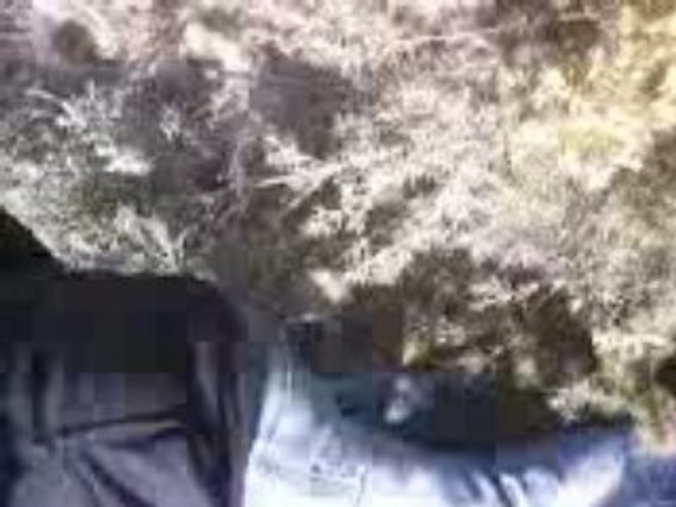 Sa fait mal... (( De vivre sans vous  ))