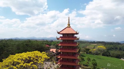 Khám Phá Tu Viện Bát Nhã Mùa Hoa Phượng Vàng Tháng 2 Từ Trên Cao