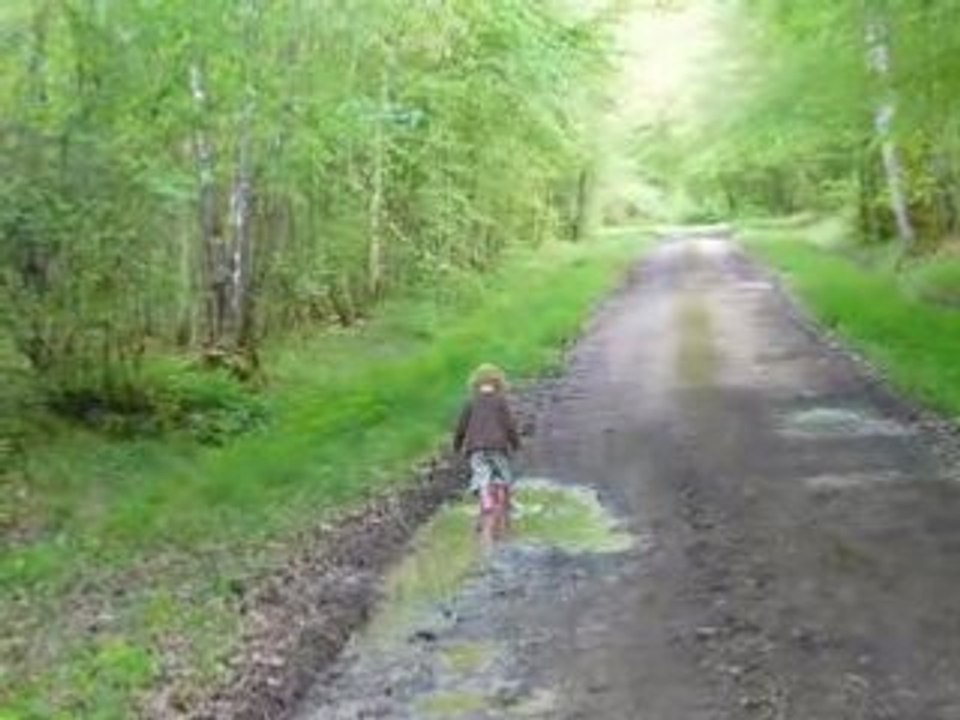 Maya dans la forêt Acte II