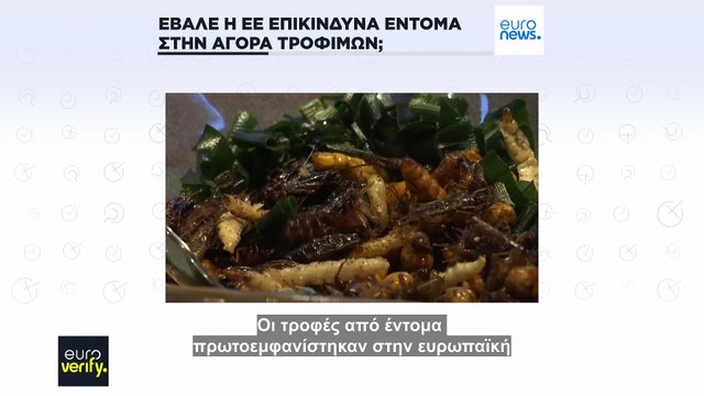 Έλεγχος γεγονότων: Όχι, η ΕΕ δεν επέτρεψε την εισαγωγή επικίνδυνων εντόμων στην αγορά τροφίμων