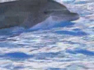 OVNI- Superscience 2-Partie5