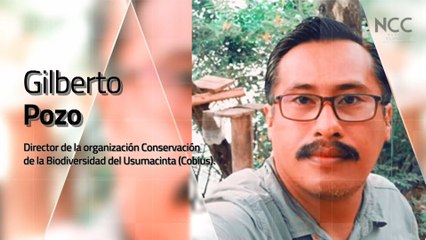 Reporte Climático 185 | Conservación de la biodiversidad del Usumacinta