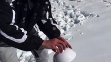The perfect snowball 😳❄️ via @vidough/TT