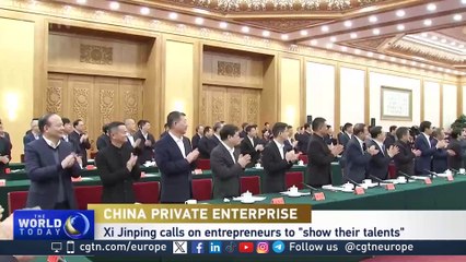 Xi Jinping Meets With China's Top Private Sector Leaders