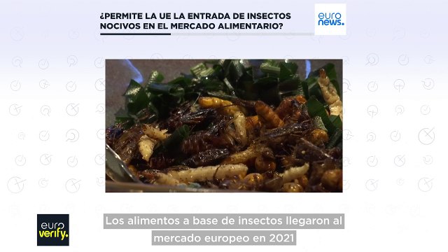 Euroverify: ¿Se obliga a los europeos a comer insectos peligrosos?