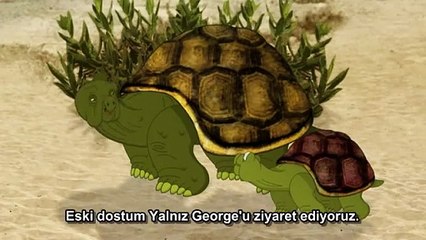 Yalnız George neden bu kadar yalnız