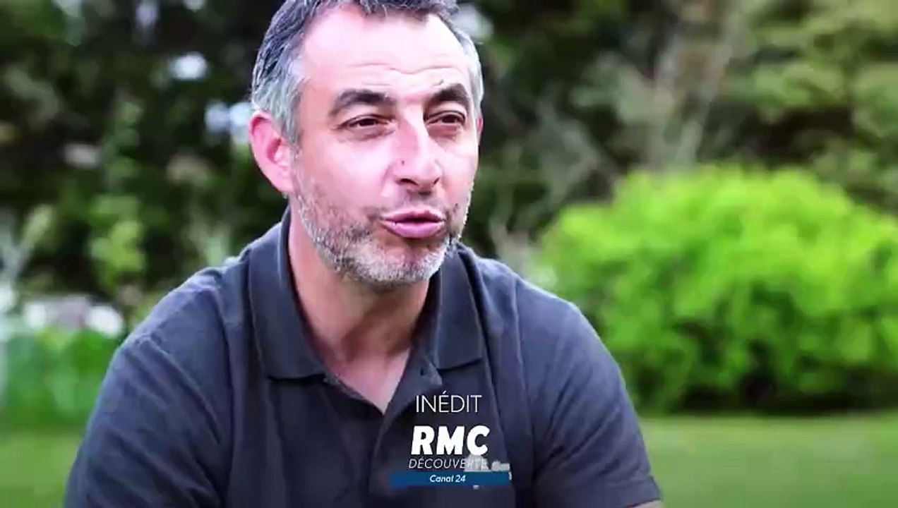 Bûcheron : un métier à hauts risques