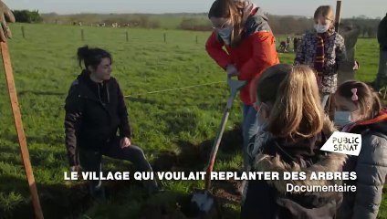 Le village qui voulait replanter des arbres