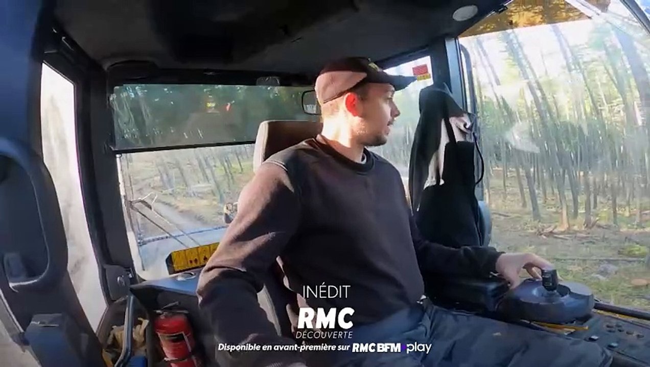 Bûcheron : un métier à hauts risques