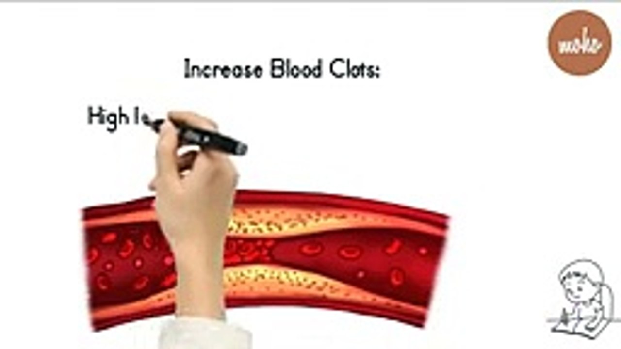 Homocysteine Explained： Why It Matters for Your Heart and Brain Health ｜ Moho Health