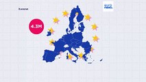Wie viele Nicht-EU-Bürger standen Ende 2024 unter vorübergehendem Schutz?