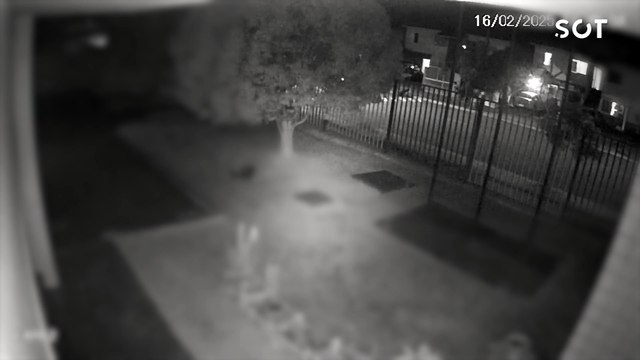 Câmeras capturam o momento que gás explode e deixa moradora gravemente ferida no Jardim Riviera