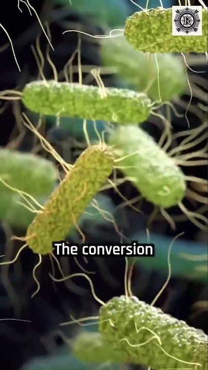 Novel Cancer Treatment - The Secret to Sustainable Lycopene from CO2.|  #Health #Sustainability #Lycopene #Antioxidants #Health #Wellness #Nutrition #Superfood #CO2Conversion #Sustainability #Science