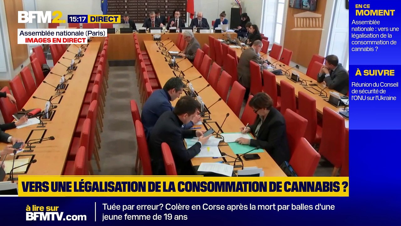 Assemblée: dans un rapport, deux députés défendent une légalisation encadrée du cannabis