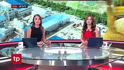 Anapo: Veto a la exportación de soya puede traer una pérdida potencial de $us 250 millones