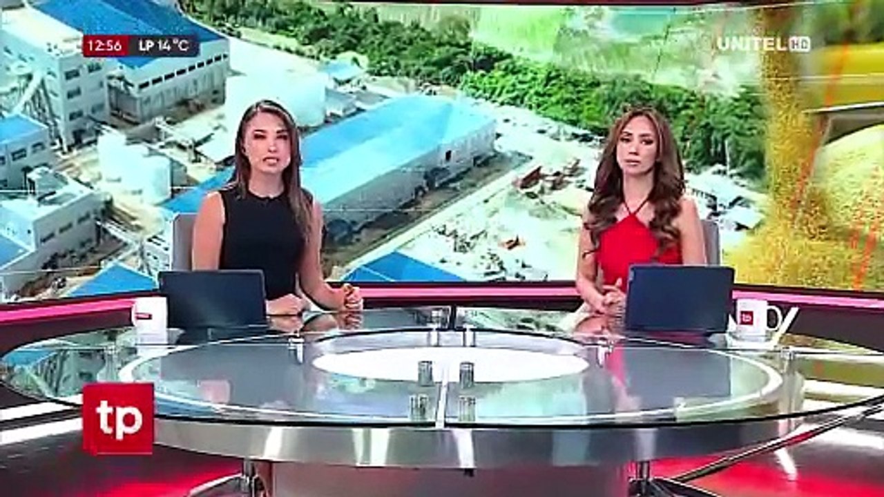 Anapo: Veto a la exportación de soya puede traer una pérdida potencial de $us 250 millones