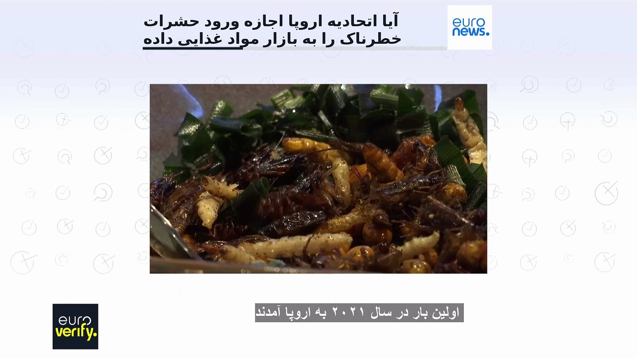 آیا اتحادیه اروپا اجازه داده که حشرات خطرناک وارد بازار مواد غذایی شوند؟