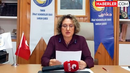 Samsun'da Mühimmat Tesisinin Çevresel Etkileri Araştırılmalı