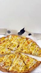 Funny Moments of Cat & Dog Bosses - Episode 29 |  Meow & Woof Universe