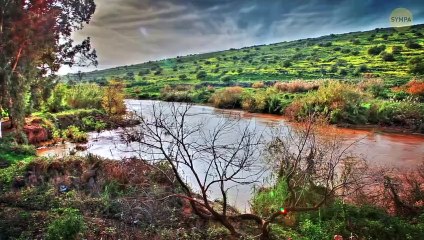 Des Experts Ont Expliqué Comment Un Fleuve A Abandonné Son Propre Pont