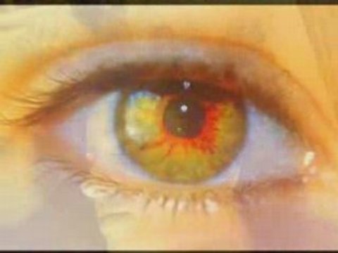 Internat 2007-2008 présentation