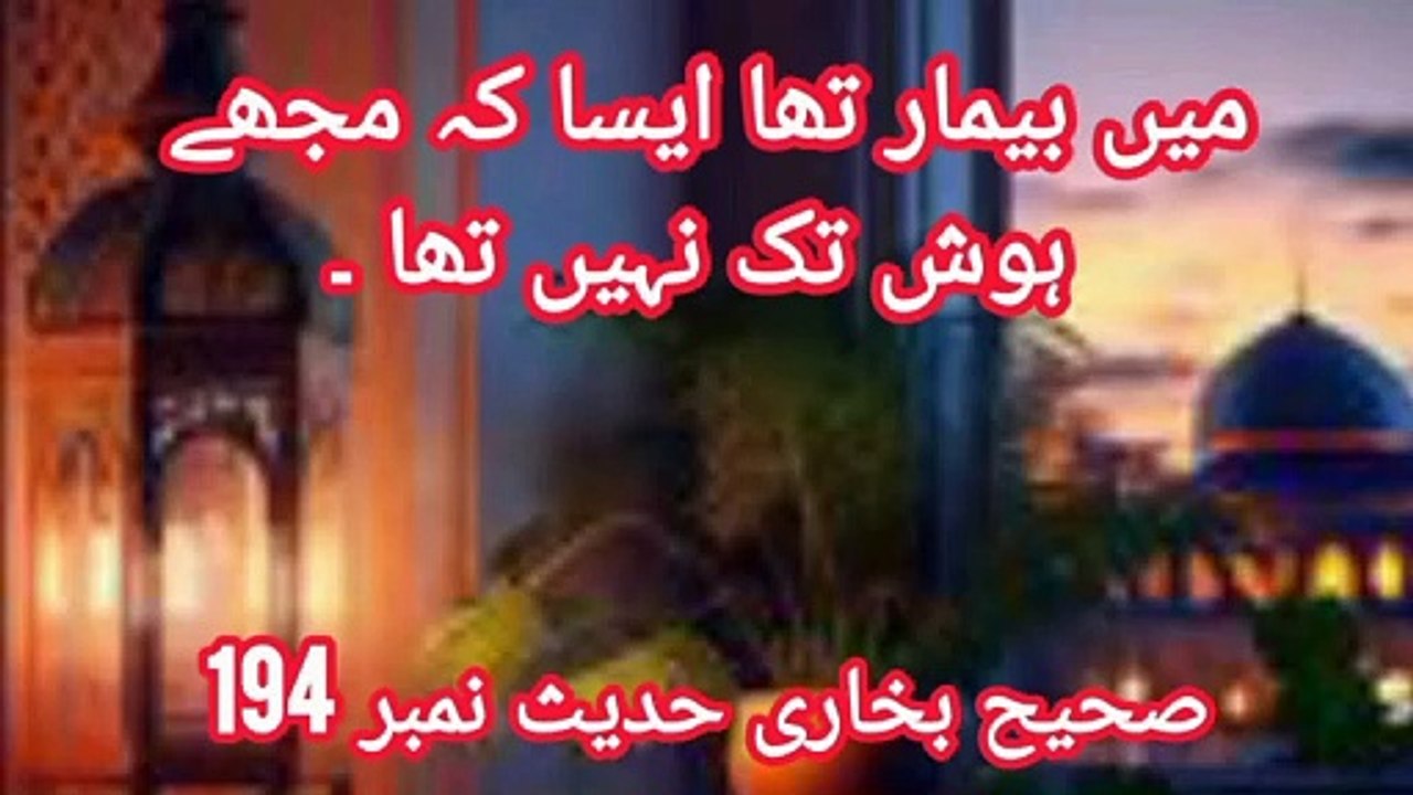 Sahih Bukhari Hadees No 194